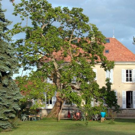 Chorey-les-Beaune Le Clos Des Roseaux מראה חיצוני תמונה